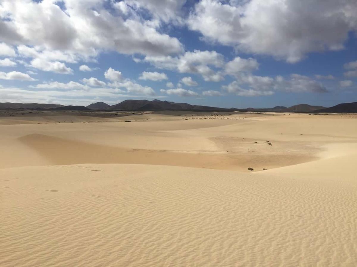 Gbh Volcanic Beach La Oliva Dış mekan fotoğraf